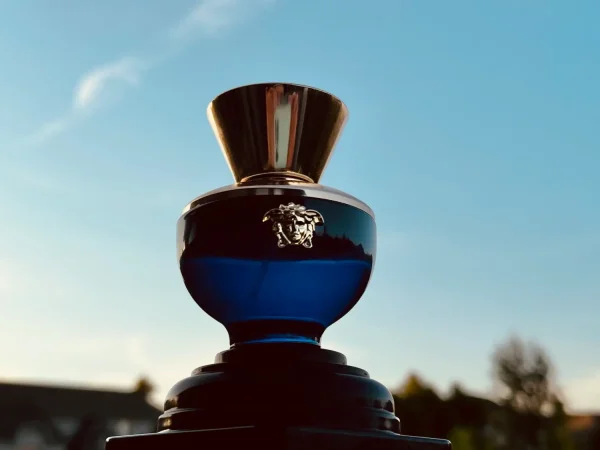 عطر ادکلن ورساچه دیلان بلو زنانه | Versace Versace Pour Femme Dylan Blue