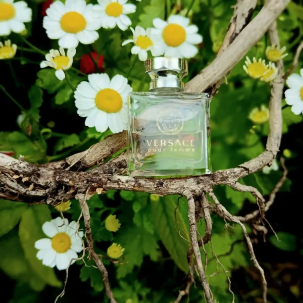 عطر ادکلن ورساچه پور فم | Versace Versace Pour Femme