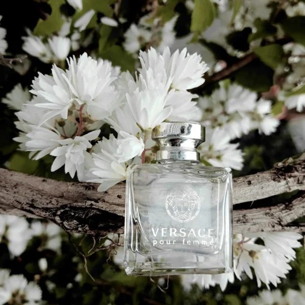 عطر ادکلن ورساچه پور فم | Versace Versace Pour Femme