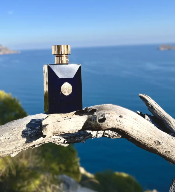 عطر ادکلن ورساچه دیلان بلو مردانه | Versace Pour Homme Dylan Blue