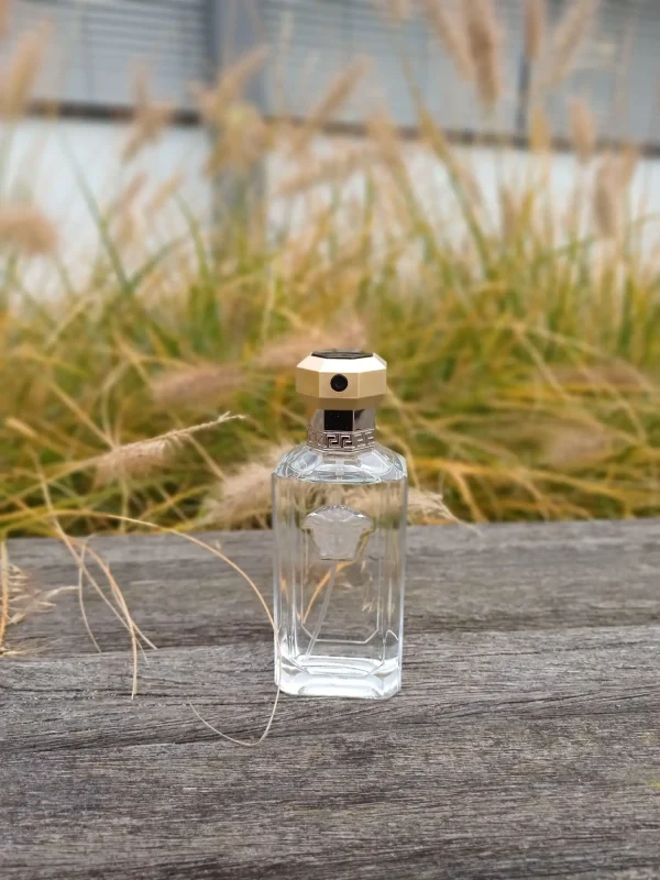 عطر ادکلن ورساچه دریمر | Versace The Dreamer