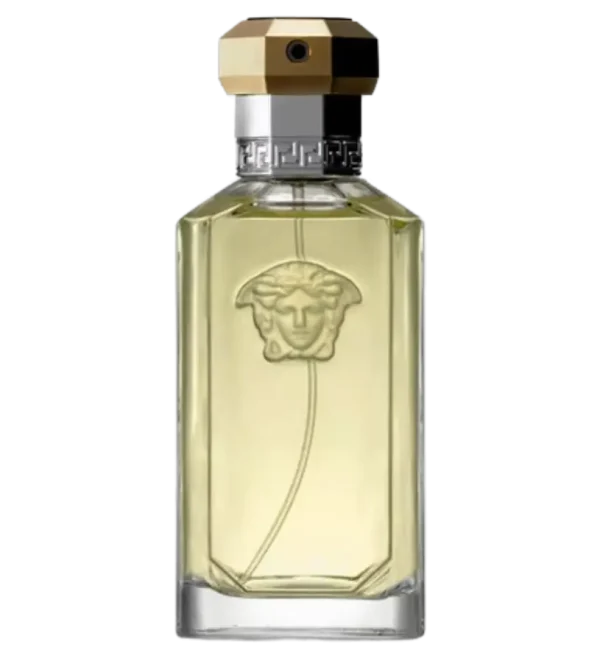 عطر ادکلن ورساچه دریمر | Versace The Dreamer