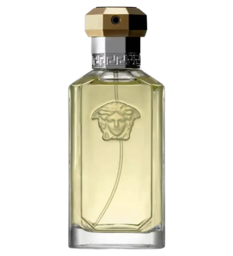عطر ادکلن ورساچه دریمر | Versace The Dreamer
