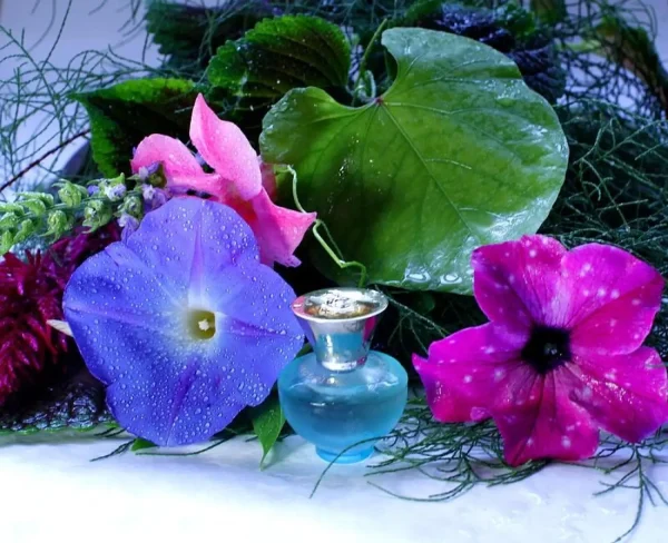 عطر ادکلن ورساچه پور فم دیلن تورکویز | Versace Versace Pour Femme Dylan Turquoise