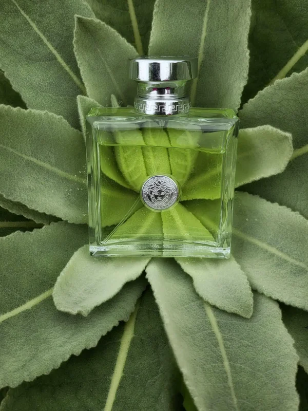 عطر ادکلن ورساچه ورسنس | Versace Versense