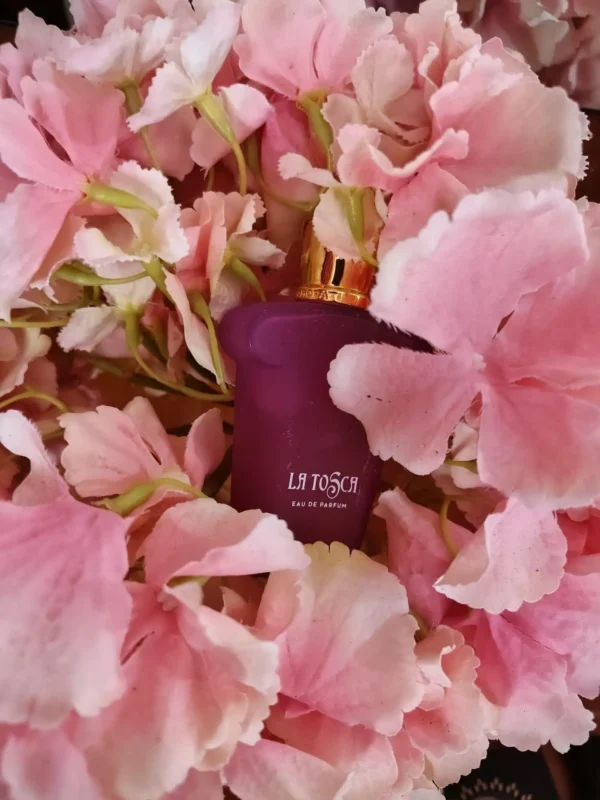 عطر ادکلن زرجوف کازاموراتی لاتوسکا | Xerjoff La Tosca