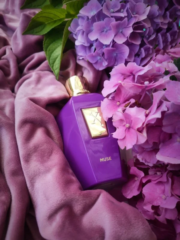 عطر ادکلن زرجوف میوس | Xerjoff Muse