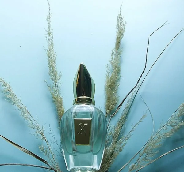 عطر ادکلن زرجوف یودن | Xerjoff Uden