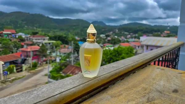 عطر ادکلن زرجوف ناکسوس | Xerjoff XJ 1861 Naxos