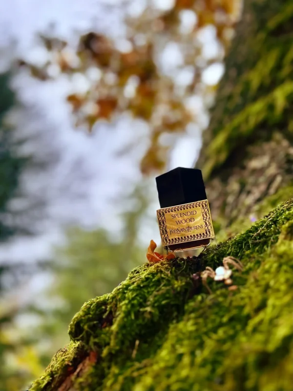عطر ادکلن ایو سن لورن اسپلندید وود | YSL Splendid Wood