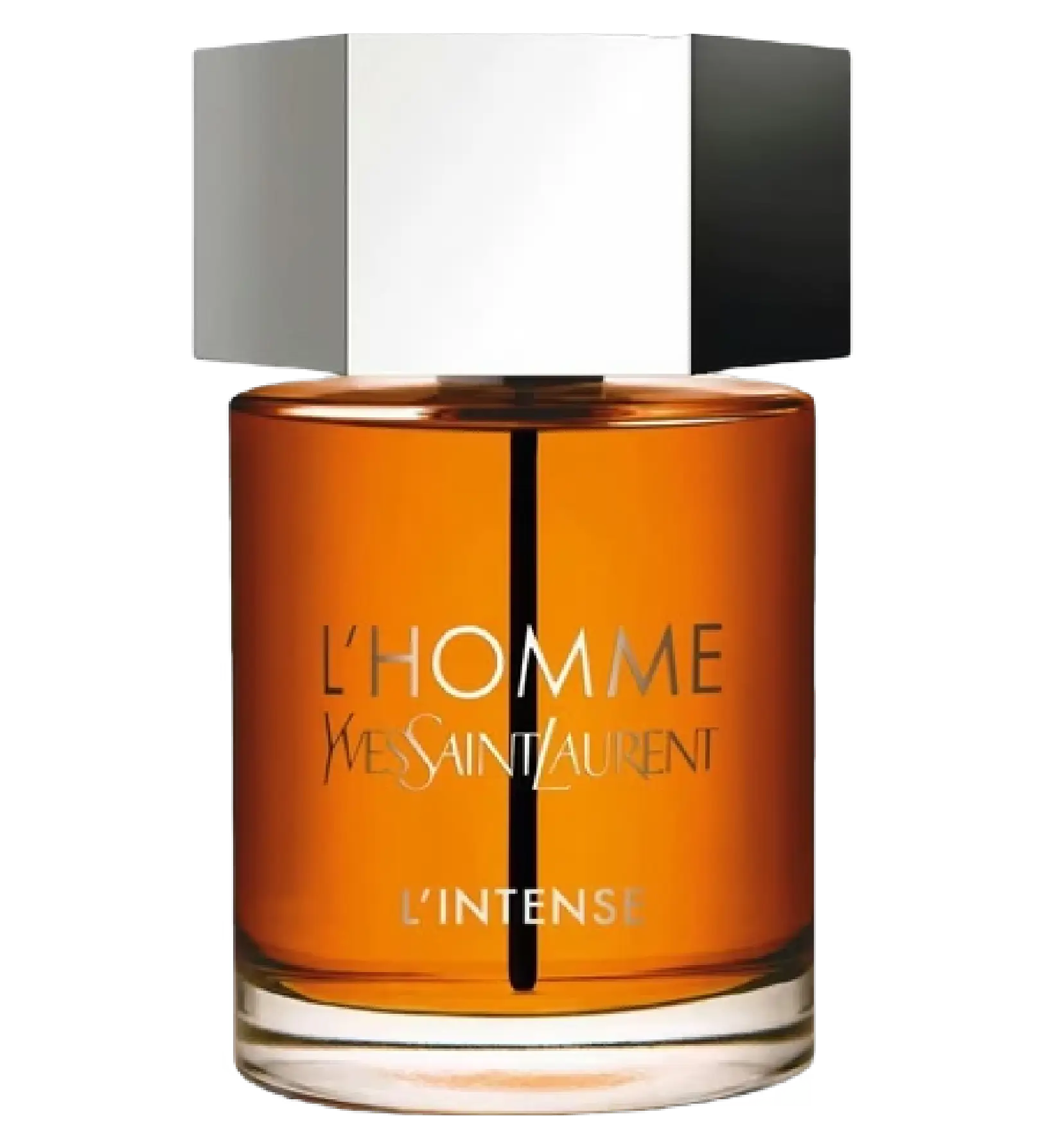 عطر ادکلن ایو سن لورن ال هوم پرفیوم اینتنس | Yves Saint Laurent L’Homme Parfum Intense