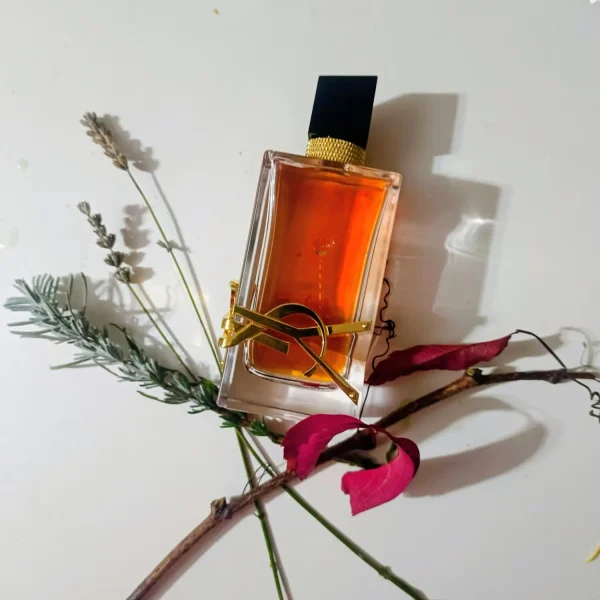 عطر ادکلن ایو سن لورن لیبر اینتنس | Yves Saint Laurent Libre Intense