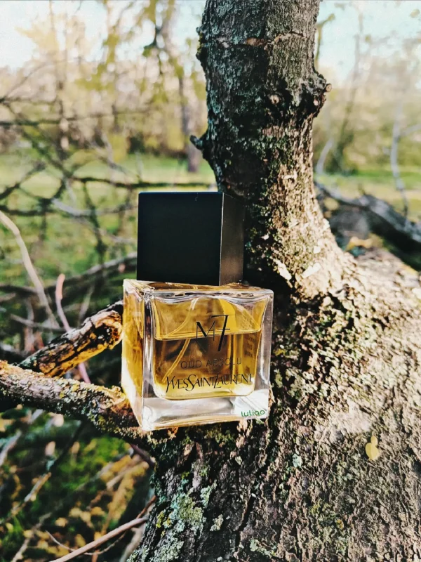 عطر ادکلن ایو سن لورن M7 عود ابسلو | Yves Saint Laurent M7 Oud Absolu