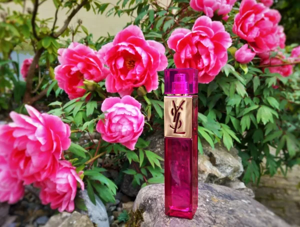 عطر ادکلن ایو سن لورن اله | Yves Saint Laurent elle