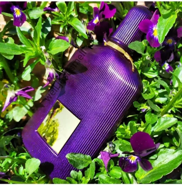 عطر ادکلن تام فورد ولوت ارکید | Tom Ford Velvet Orchid