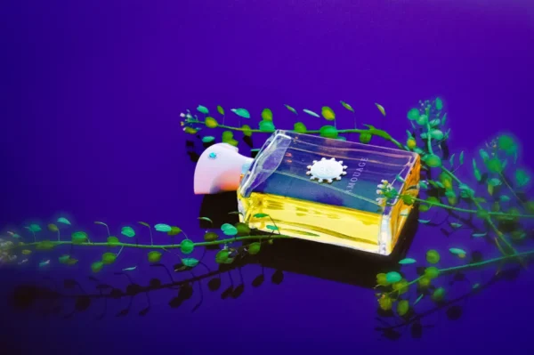 عطر ادکلن آمواج سیل مردانه | Amouage Ciel Man
