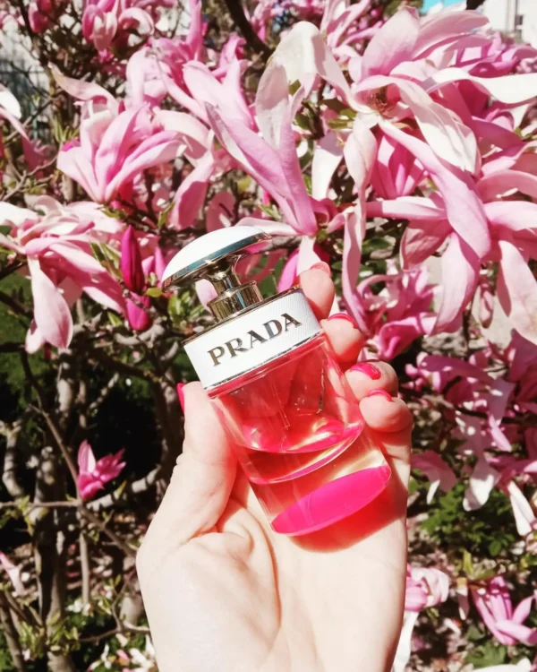 عطر ادکلن پرادا پرادا کندی کیس | Prada Prada Candy Kiss