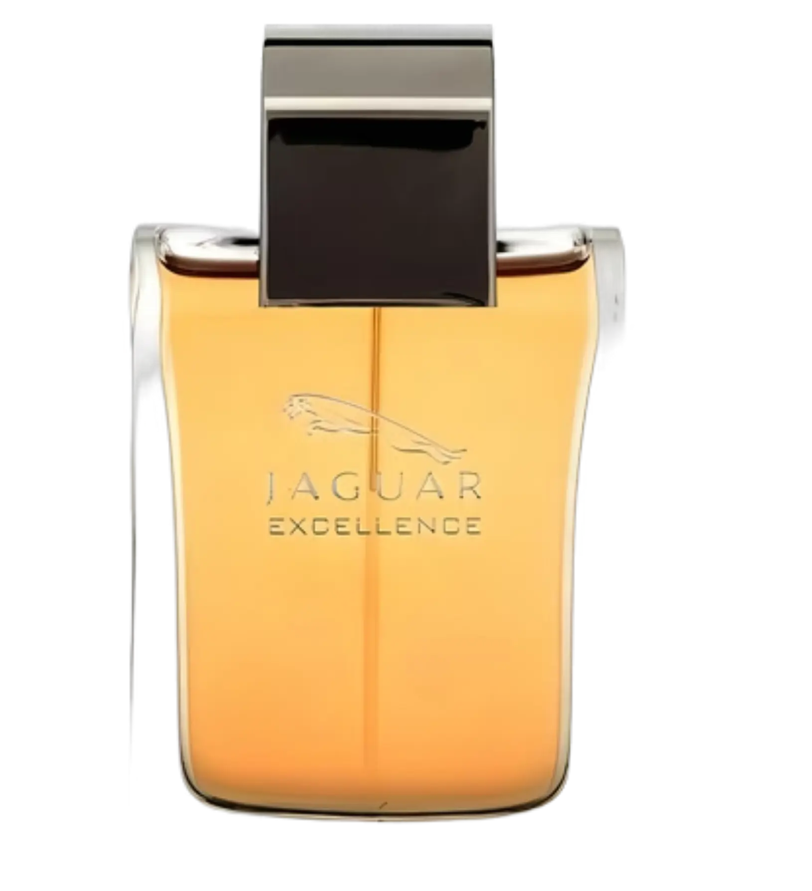 عطر ادکلن جگوار اکسلنس | Jaguar Jaguar Excellence