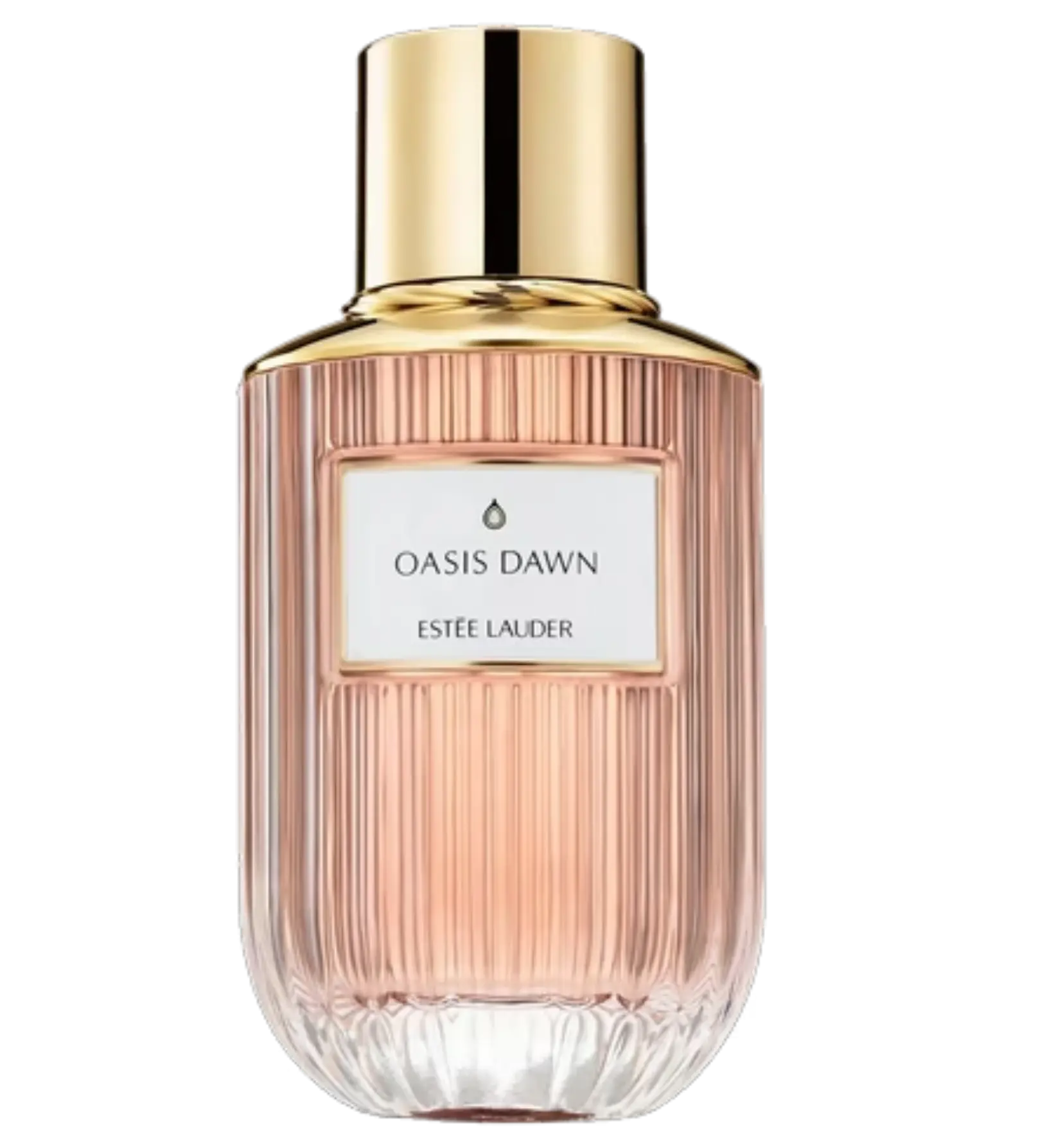 عطر ادکلن استی لودر اسیس داون | Estee Lauder Oasis Dawn