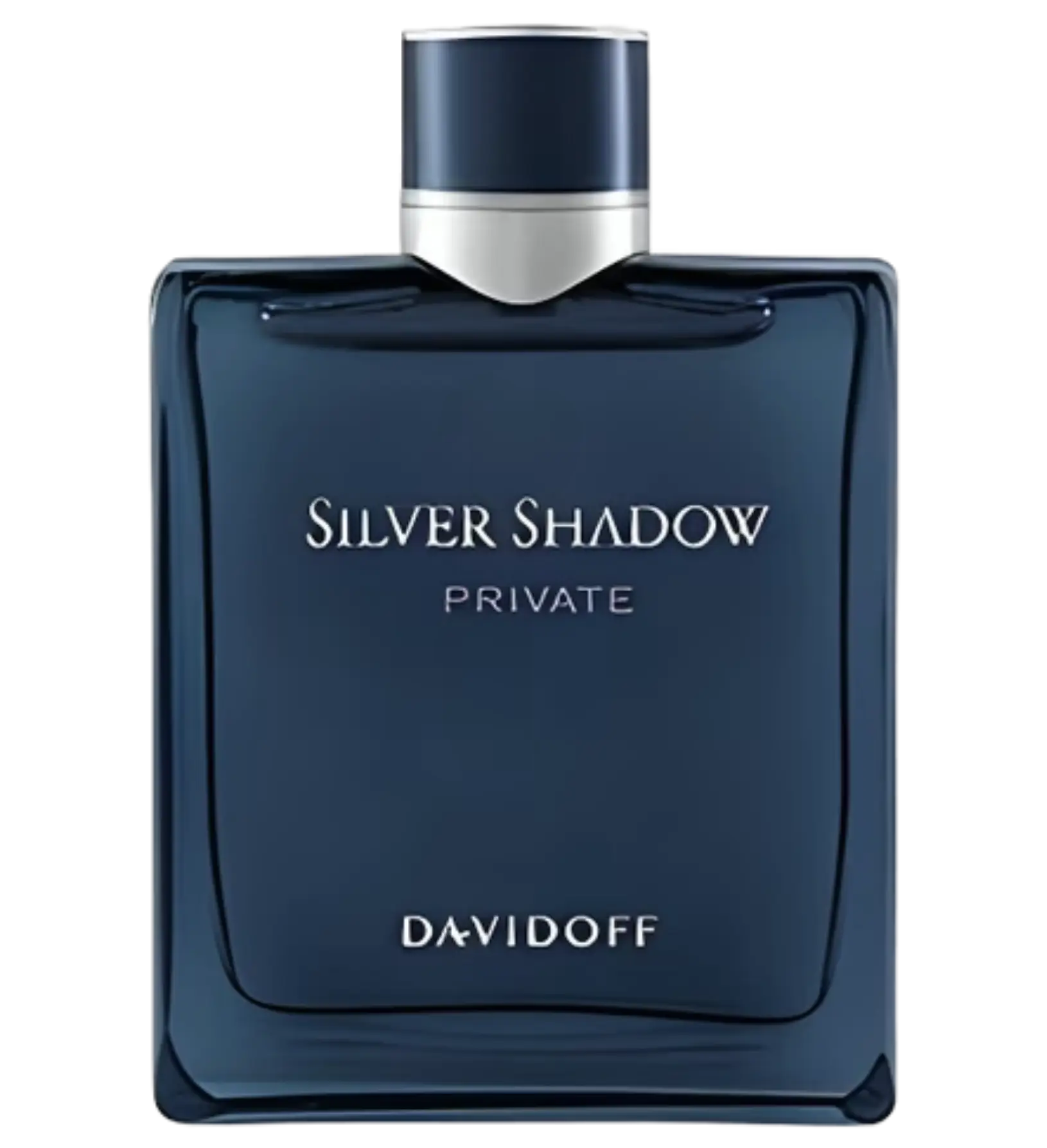 عطر ادکلن دیویدوف سیلور شادو پرایوت | Davidoff Silver Shadow Private
