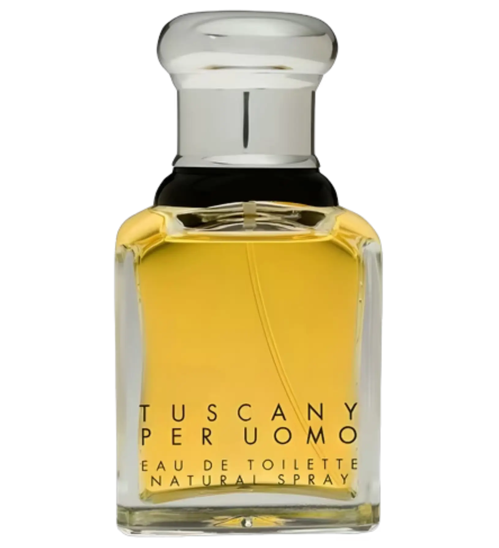 عطر ادکلن آرامیس توسکانی مردانه | Aramis Tuscany Per Uomo